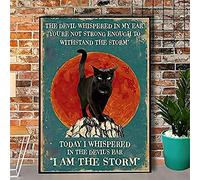 Aoevc Letrero de metal retro con texto en inglés "Gato I Am The Storm", para bar, pub, baño, dormitorio, decoración de pared de la novedad de lata, bonito letrero de 6 x 8 pulgadas