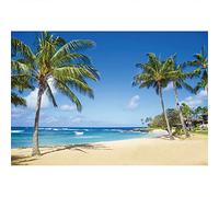 Aoihraan 1,5x1m Cascada Tropical de Verano Paisaje Palmeras Y Cielo Azul Playa Isla Hawái Antecedentes Fotográficos Viajes Vacaciones Paisajes Naturales Retrato Niños Adultos Accesorios Fotografía