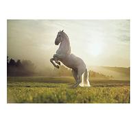 Aoihrraan 1,5x1m Caballo Blanco Telón De Fondo Occidental Pradera Hada Vaquero Caballo País Maravillas Naturaleza Fondo Fotografía Exterior Viaje Vaquero Cumpleaños Fiesta Niños Adultos Foto