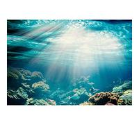 Aoihrraan 1,5x1m Mundo Submarino Telón De Fondo Escena Los Fondos Marinos Arrecife Coral Peces Sol Submarino Vista Al Mar Fondo Fotografía Acuario Pecera Fiesta Temática Marina Retrato Estudio Fotos