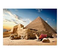 Aoihrraan 1,5x1m Pirámide Telón de Fondo Antigua Civilización País Egipto Pirámide Ruinas Entrada Camello Peregrinación Adoración Fotografía Fondo Religión Creencia Sitio Turístico Foto Props