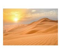 Aoihrraan 1,5x1m Telón Fondo Desierto Amarillo Dunas Gobi Atardecer Sol Escena De La Naturaleza Fotografía Fondo Adultos Turismo Viajes Egipto Wilderness Cumpleaños Decoración Foto Estudio Atrezzo