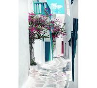 Aoihrraan 1,5x2,2m Grecia Calle Fondo Primavera Flores Estrecho Calle mediterráneo Estilo Arquitectura fotografía Fondo Boda Decoración Niños Adultos Viajes Retrato Foto Estudio Atrezzo