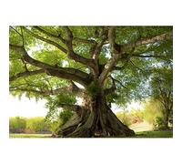 Aoihrraan 2,2x1,5m Árbol Viejo Telón de Fondo Bosque Parque Bosque Hierba Campo Naturaleza Paisaje Fotografía Fondo Picnic al Aire Libre Decoración Boda Foto Niños Adultos Arte Retrato Estudio Prop