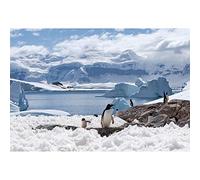 Aoihrraan 2,2x1,5m Pingüinos Telón De Fondo Campo Nieve Antártida Polo Sur Glaciar Hielo Oceano Nieve País Maravillas Fotografía Nieve Mundo Tema Fiesta Banner Niños Niñas Retrato Estudio Fotográfico