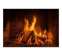 Aoihrraan 2,2x1,5m Quema Leña Fondo Vintage Chimenea Llameante Madera Llama Fotografía Fondo Fogata Fiesta Al Aire Libre Camping Viajes Barbacoa Pancarta Niños Adultos Retrato Foto Estudio Accesorios