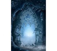 Aoihrraan 2,5x3m Enchanted Bosque Fotografía Fondo Hada Cuento Castillo Vintage Arco Puerta Magia País De Las Maravillas Fondo Niñas Poco Princesa Cumpleaños Fiesta Artístico Retrato Foto Accesorios