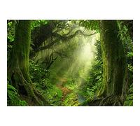 Aoihrraan 2,7x1,8m Primavera Encantado Bosque Fondo Selva Selva Tropical Viejo Árboles Sol Natural Paisaje Fotografía Fondo Bebé Ducha Cumpleaños Fiesta Decoración Niño Adulto Retrato Foto Accesorios