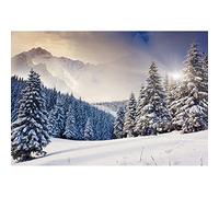Aoihrraan 3x2,5m Invierno Bosque Telón De Fondo Campo Nieve Pino Abeto Cubierto Nieve Paisaje Naturaleza Montaña Nevada Fotografía Año Nuevo Navidad Fiesta Niños Adolescentes Adulto Retrato Fotos