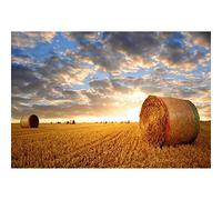 Aoihrraan 3x2,5m Rural Tierras De Cultivo Fondo Dorado Campo Agricultura Paja Fardos Puesta De Sol Otoño Cosecha Fotografía Fondo Western Vaquero Fiesta Acción De Gracias Video Disparos Foto Atrezzo