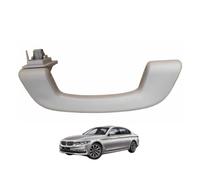 Aojiek Manija de Agarre para Techo de Coche para 5 Series G30/F90 2017-2023