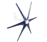 Aolidsive Generador de Viento Mini Turbina Eólica 6 Palas 300W 48V con