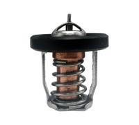AOLUOER 17670-94J01 Termostato 60° for S//u//z//u//k//i Marine