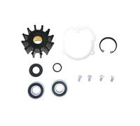 AOLUOR 3857794 Kit de servicio reconstrucción for bombas V//o//l//v//o P//e//n//t//a/O//M//C 2858847 3851982 3851623 Se adapta a 3851995 3855778