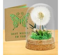 AOOTE Diente de León Real en Vidrio Regalo,Real Diente de león en Cristal con Tarjeta de Felicitación,Decoración Eterna de Diente de León,Decoración para Cumpleaños,Boda,Consagración