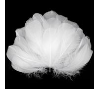 AOOTE Plumas de Ganso Blancas, 350 Piezas Plumas para Manualidades, 6-12cm Plumas para Atrapasueños, Tocado Artesanía, para DIY Pendiente, Plumas Tocadoboda, Haciendo, Fiestas, Blanco