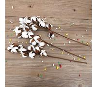 Aoresac 3 tallos de algodón natural, flores secas, ramas artificiales de kapok de 60 cm con 10 bolas cada una, alambre de hierro flexible para boda, fiesta, hogar, decoración rústica