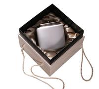 Aorom Pet Urn Vintage Simple Memorial Jar Altar de almacenamiento Urna de cremación for perros y gatos Tarro de almacenamiento resistente a la humedad (mediano) ( Size : White collection coffin )