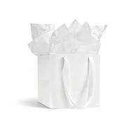 Aosric Bolsas de regalo blancas con papel de seda, paquete de 2 bolsas cuadradas reutilizables de 10 x 10 x 10 pulgadas para regalos de Navidad, golosinas de Halloween, bodas, baby shower, regalos de