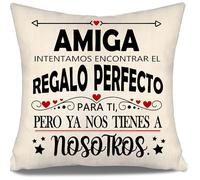 Aosumin Amiga intentamos Encontrar Fundas de Cojín Divertidas Amigas Regalo de Amistad para Mujeres Regalo de Cumpleaños (Amiga-b)