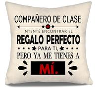 Aosumin Compañero de Clase intenté Encontrar Fundas de Cojín Compañeros de Clase Regalo Cumpleaños Graduación (compañero de Clase)