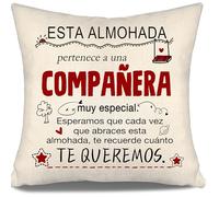 Aosumin Esperamos Que Cada Vez Que abraces Esta Almohada te recuerde cuánto te Queremos Fundas de cojín para Mujer Compañera Cumpleaños Navidad Regalo Colegas Mujer Recordatorio(compañera-b)