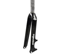 Aouoeeo Horquilla rígida para Bicicleta de 14/16/18/20/22 Pulgadas, Freno de Disco de Carbono, BMX, Tubo Recto de 1-1/8'', QR Delantero de 9x74 mm, Ligera