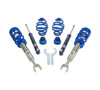 Ap Coilovers Acero Galvanizado Apto para VW Passat Variant [3B5] 11580009