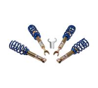 Ap Coilovers Acero Galvanizado Apto para VW Passat Variant [3B6] 11580012