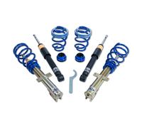 Ap Coilovers Acero Galvanizado Renault Clio III [ BR0/1 ,CR0/1 ] 11590023