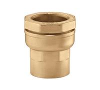 Ap Conexión por Tornillo IG 63 MM X 2" IG para Pe-Kunststoffrohr