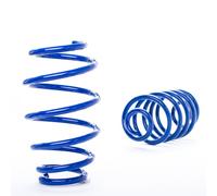 AP Muelles De Reducción Para BMW Serie 5 F10 F11 5L/5K Limo F10 / F11 5L/5K 550I