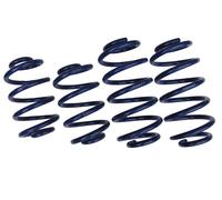 AP Muelles De Reducción Para Mercedes Clase E W124 W124C 40/30mm FS25-068