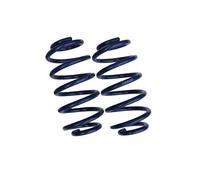 Conjunto De Muelles Reculados Compatible Con BMW 3ER TOURING [E46] | 25920224
