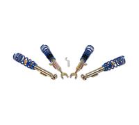 Ap Suspensión Roscada Acero Galvanizado Apto para BMW 5ER [F10] 11520080