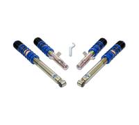 Ap Suspensión Roscada Acero Galvanizado Apto para Ford Puma [ Ec ] 11530013