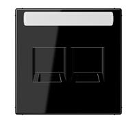 Aparamenta con placa de inserción Jung - LS1969-2NAWESW