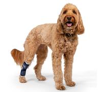 Aparato ortopédico convalecente para perro, Balto BT HOCK talla M