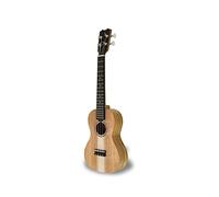 APC CS - Ukulele Concerto