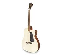 APC Instruments Ga100 Mx Slim Cw - Instrumento de cuerdas