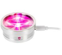 Ape Labs ApeCoin USB-C