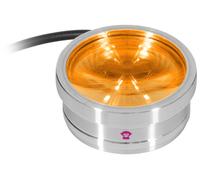 Ape Labs ApeCoin V2 IP