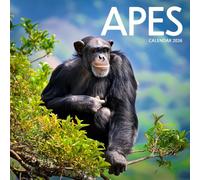 Apes Calendar 2026: Wildlife Photography of Gorillas, Chimpanzees & Orangutans