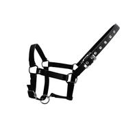 APGLSXY Cabestro ajustable para caballos con cincha de polipropileno, ergonómico, cómodo, accesorios de equitación, duraderos, ergonómicos, cómodos