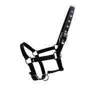 APGLSXY Cabestro ajustable para caballos con cincha de polipropileno, ergonómico, cómodo, accesorios de equitación, duraderos, ergonómicos, cómodos