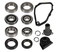APGLSXY Juego de revisión de cajas de cambios premium para modelos 106 205 306 206 207 208 309 C2 C4 con todos los componentes necesarios 229945 312144 Juego de rodamientos de transmisión de coche