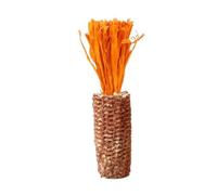 APGLSXY Juguete masticable natural para mascotas de mazorca de maíz y cáscara, duradero, no tóxico, adecuado para mascotas de hámster