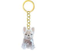 APGLSXY Llavero conmemorativo transparente para mascotas, botella de pelo para conservar perros y cenizas, caja conmemorativa, llavero conmemorativo de pérdida de ojos, estuche transparente