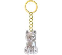 APGLSXY Llavero conmemorativo transparente para mascotas, botella de pelo para conservar perros y cenizas, caja conmemorativa, llavero conmemorativo de pérdida de ojos, estuche transparente