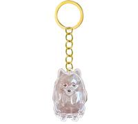 APGLSXY Llavero conmemorativo transparente para mascotas, botella de pelo para conservar perros y cenizas, caja conmemorativa, llavero conmemorativo de pérdida de ojos, estuche transparente
